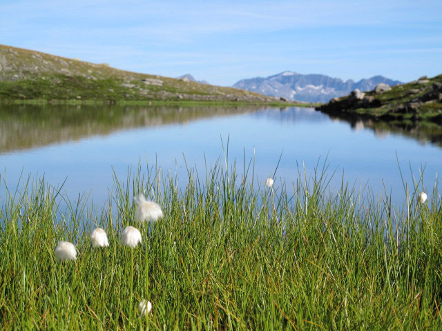 zwischen Hochkreuz und Kirschent&ouml;rl (31. Aug.)