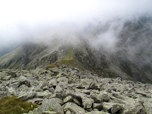 zwischen Lackent&ouml;rl und Grafischer Tristen (31. Aug.)