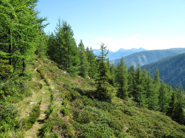 Sachsenweg zwischen Salzkofelh&uuml;tte und Premersdorfer Alm (1. Sept.)