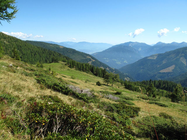 Sachsenweg zwischen Salzkofelhütte und Premersdorfer Alm (1. Sept.)