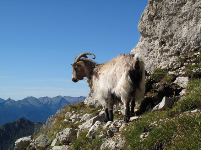 zwischen Rotwandhütte und Masare-Klettersteig