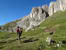 Axel zwischen Rotwandhütte und Masare-Klettersteig