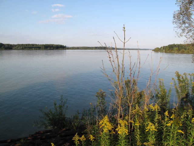 Donau bei W&ouml;rdern
