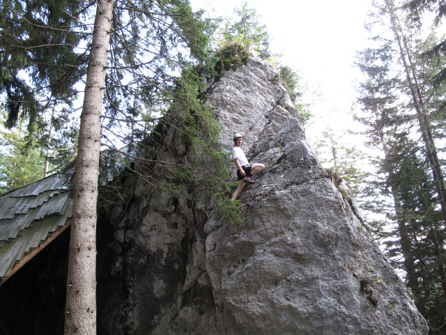 Baumhaus-Klettersteig: Reinhard