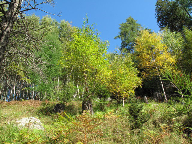 zwischen Fallbach-Klettersteig und In der Perschitz