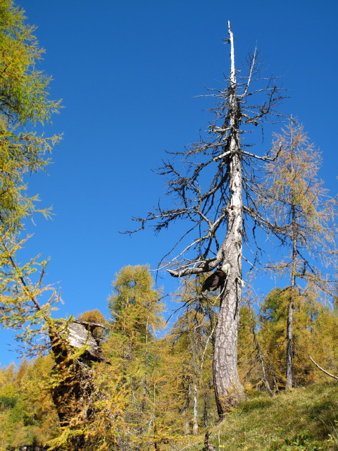 zwischen Mallestiger Mittagskogel und Techantinger Mittagskogel