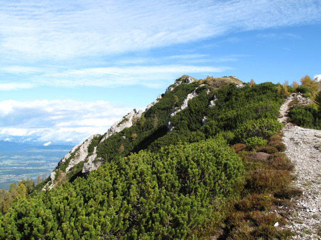 Techantinger Mittagskogel