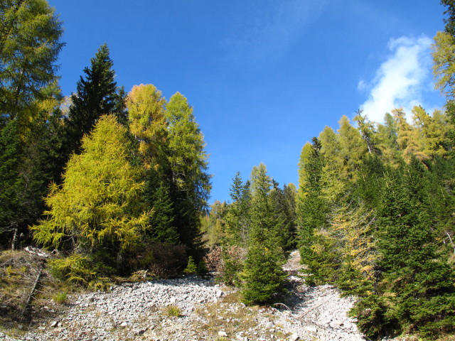 zwischen Jaukenalm und Kreuztraten (26. Okt.)