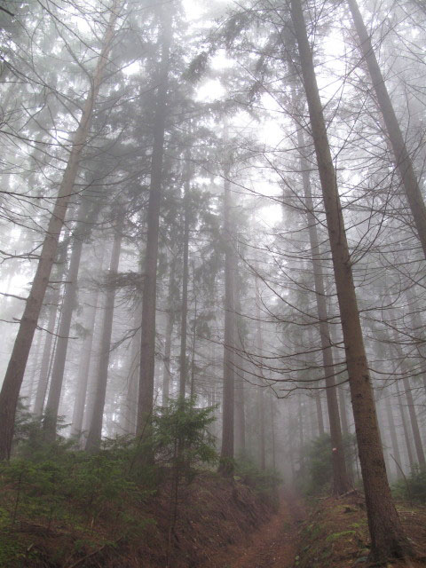 zwischen Wegscheid und Reisser