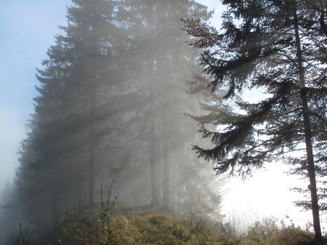 zwischen R&ouml;rl und Ortneralm