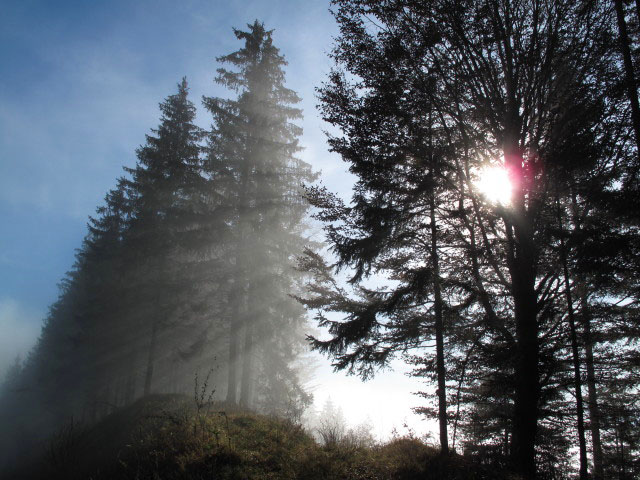 zwischen R&ouml;rl und Ortneralm