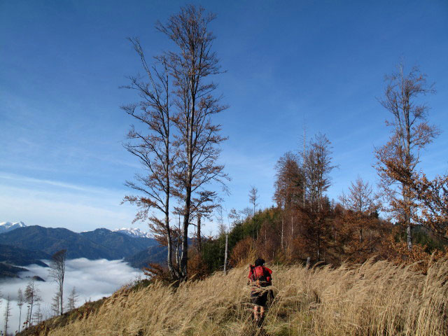 Gudrun zwischen Ortneralm und Kleinem Floning