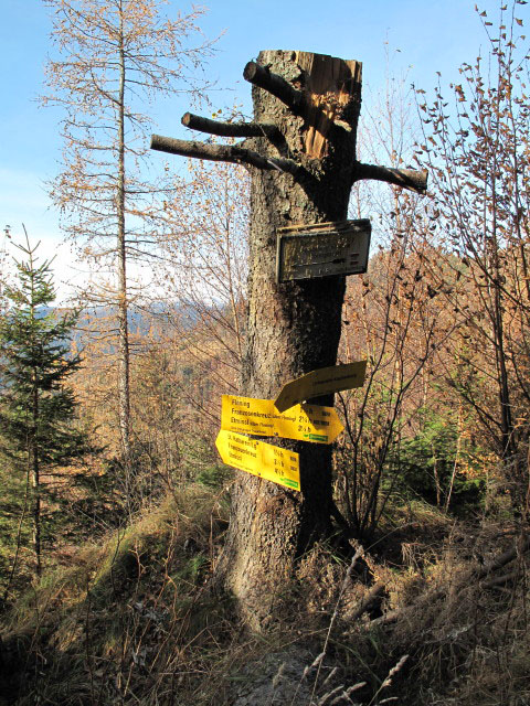 zwischen Ortneralm und Kleinem Floning