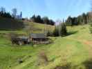 Ortneralm