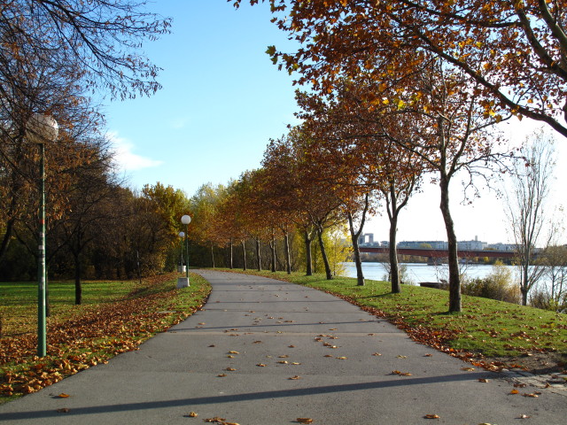 zwischen Floridsdorfer Br&uuml;cke und Brigittenauer Br&uuml;cke