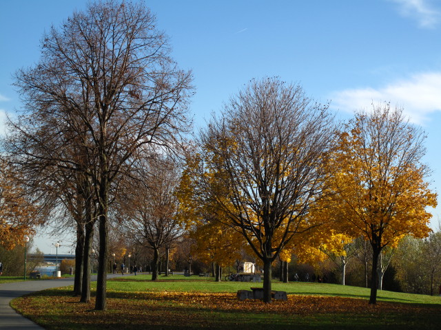 zwischen Brigittenauer Br&uuml;cke und Reichsbr&uuml;cke