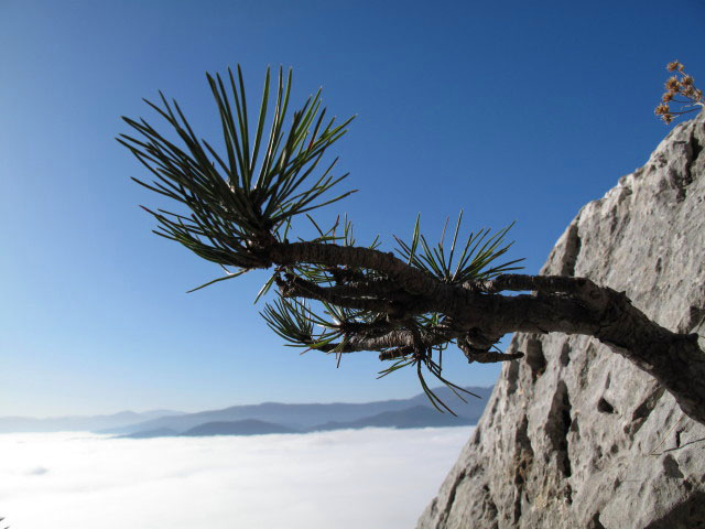 vom Fredsteig Richtung S&uuml;dwesten