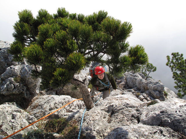 Fredsteig: Daniela in der sechsten Seill&auml;nge