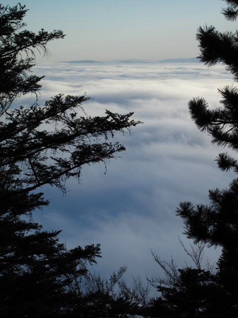 vom Grafenbergweg Richtung S&uuml;dosten