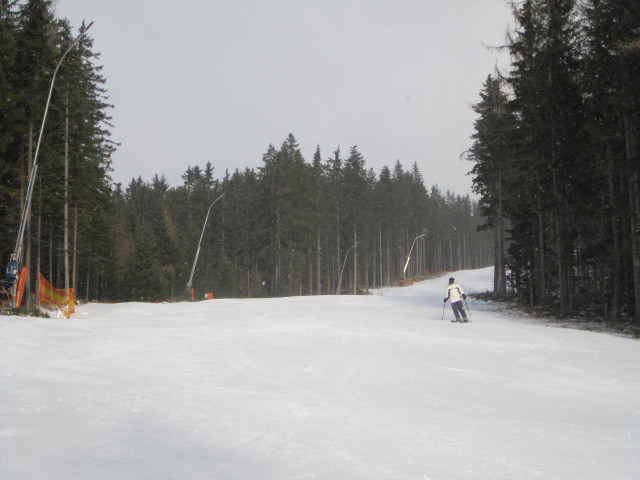 Daniela auf der Steinwandabfahrt