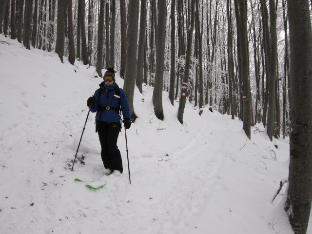 Daniela zwischen Hainfelder Hütte und Liasböndlhütte