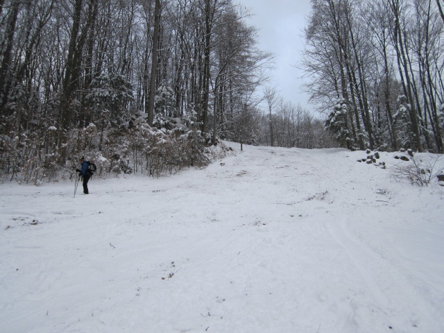 Daniela zwischen Liasböndlhütte und Kirchtal