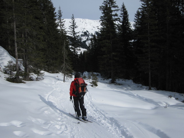 Gudrun zwischen Manzenkaralm und Gasthof Wegscheid (24. Jän.)