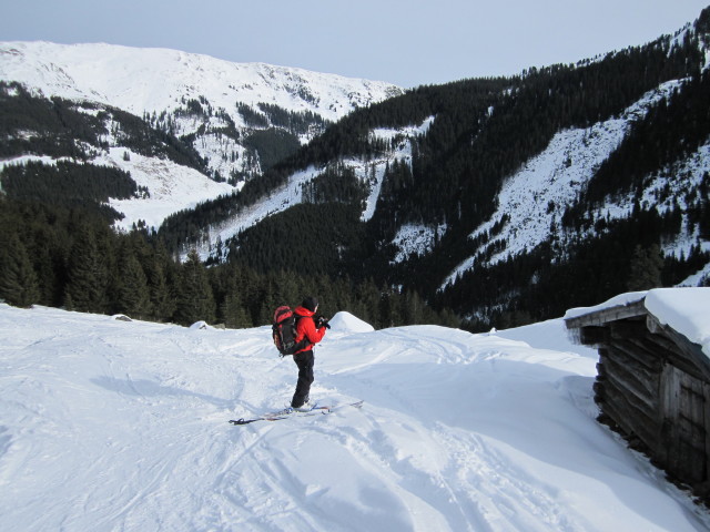 Gudrun zwischen Manzenkaralm und Gasthof Wegscheid (24. Jän.)