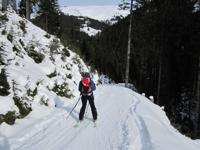 Daniela zwischen Manzenkaralm und Gasthof Wegscheid (24. Jän.)