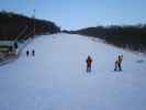 Hohe-Wand-Wiese