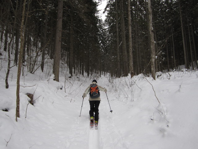 Irene zwischen Gasthof Eder und Schopfriegel