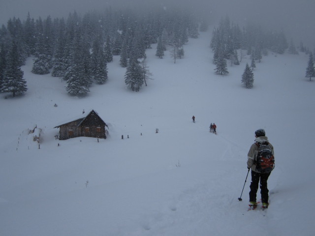 Irene auf der Tonionalm, 1.429 m