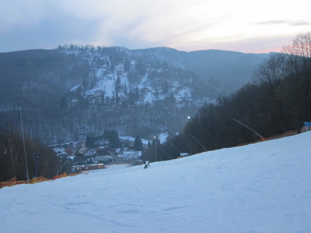 Hohe-Wand-Wiese