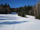 Piste des Vierersessellifts Hannesen II