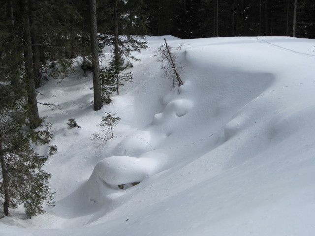 neben dem Ochsenhaltlift