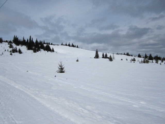 neben dem Ebenwald-Schlepplift