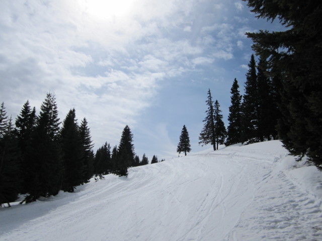 Abfahrt des Ebenwald-Schlepplifts