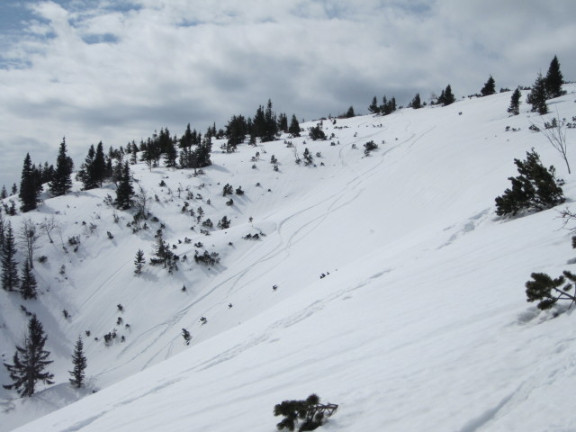 neben dem Ebenwald-Schlepplift