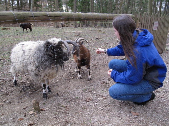 Daniela beim Streichelzoo