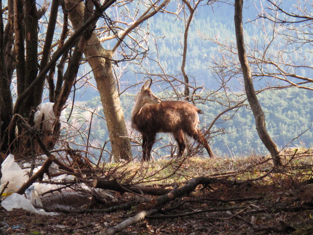 zwischen Wildenauer-Klettersteig und Gro&szlig;er Kanzel