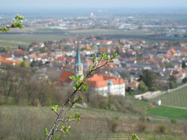 Gumpoldskirchen vom Klettersteig der Naturfreunde Gumpoldskirchen aus