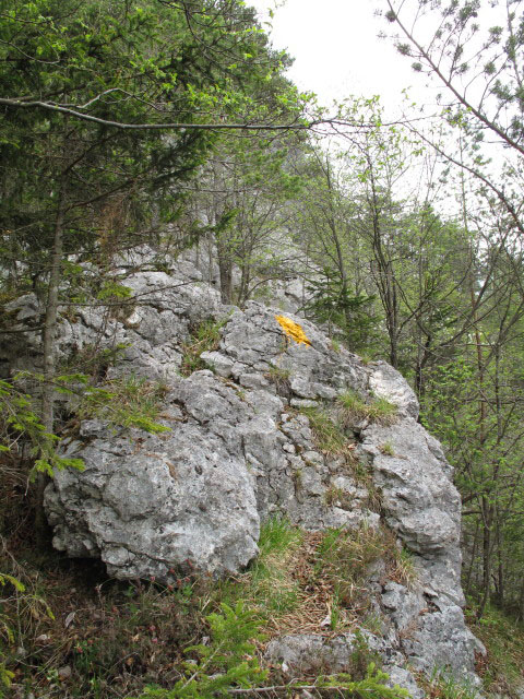 zwischen Wölfelkanzel und Vellach