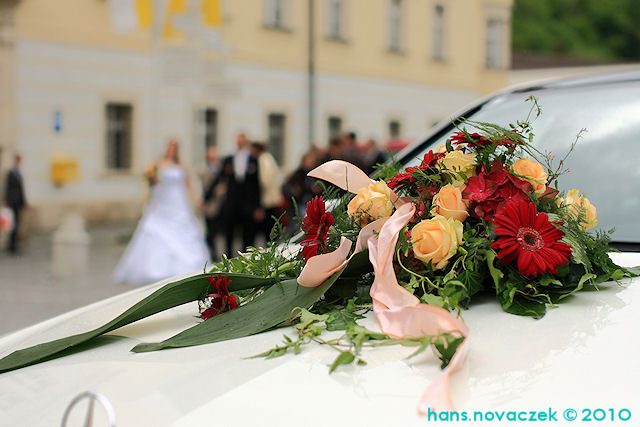 Stift Heiligenkreuz (7. Mai) © novaczek.at