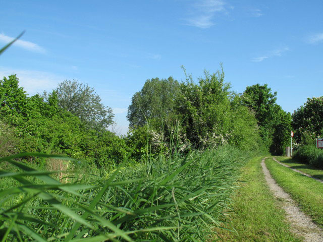 Rußbach bei Markgrafneusiedl