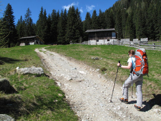 Daniela auf Weg 7 auf der Durralm, 1.568 m (22. Mai)