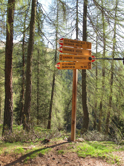 Weg 2A zwischen Öttenbacher Tal und Almbach (23. Mai)