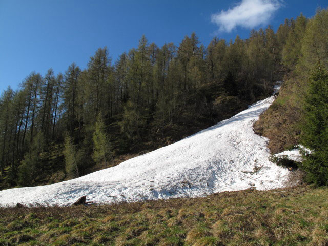 neben Weg 2A zwischen Öttenbacher Tal und Almbach (23. Mai)