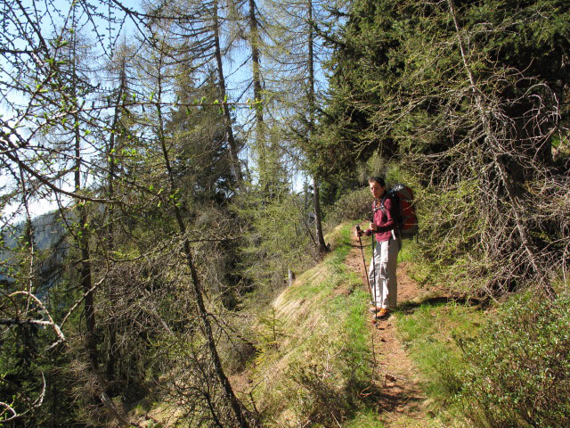Daniela auf Weg 23 zwischen Sarner Skihütte und Ameiser (23. Mai)