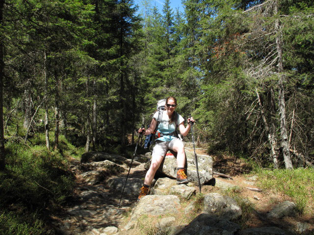 Daniela auf Weg 16 zwischen Streitweideralm und Tschifnoner Wälder (24. Mai)