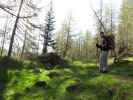 Daniela auf Weg 2A zwischen Öttenbacher Tal und Almbach (23. Mai)